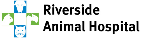 Green Bay Animal Hospital Home
